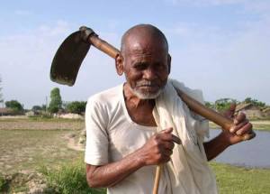 "Va planter les pommes de terre"