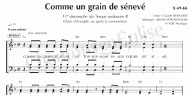 Grain de senevé